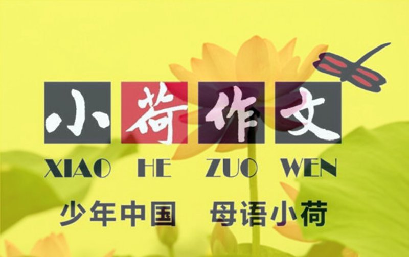 如何有效利用电话沟通提升大连教育培训的效果？