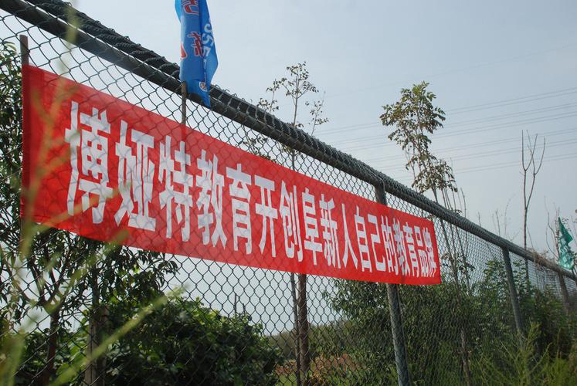 博娅特教育